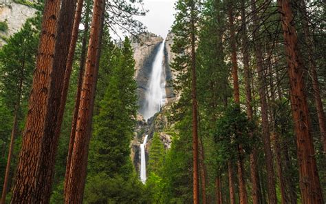 Yosemites Waterfalls Are Roaring Back To Life After Years