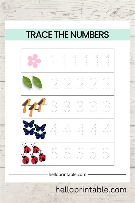 Basic Math Worksheets For 3 To 4 Year Olds