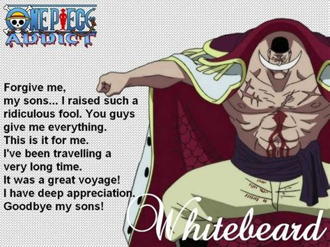 One Piece Quote 46 Anime Amino