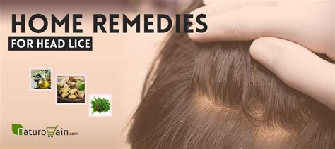 9 Effective And Best Home Remedies For Head Lice