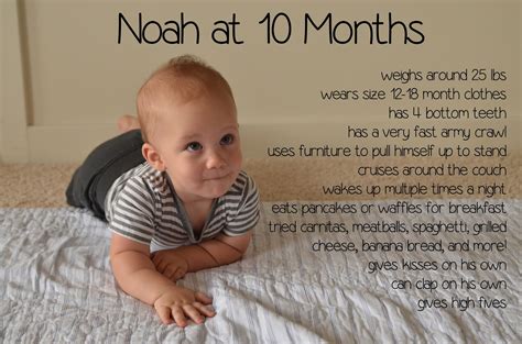 We did not find results for: The Adventure Starts Here: Happy 10 Months Noah!