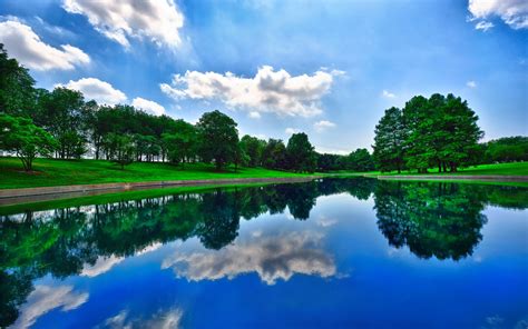 Pond Reflection Hd Wallpapers Desktop And Mobile Images And Photos