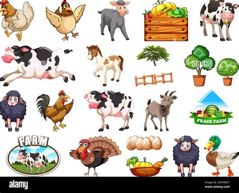 Set Of Farm Animals Stock Vector Image And Art Alamy