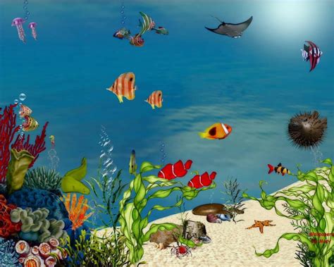 Busy Ocean 1280x1024 Underwater Marinelife Fish Aquarium Hd