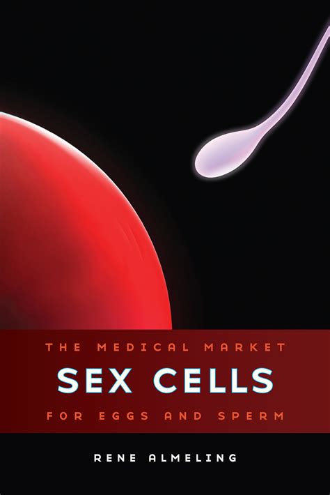 Sex Cells By Rene Almeling Paperback University Of California Press