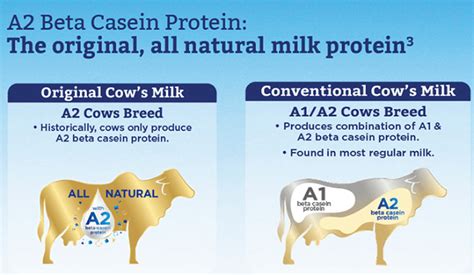 A2 Milk Protein Explained Heres What You Need To Know