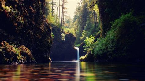 Free Download Nature Landscape Forest Tropical Forest Waterfall