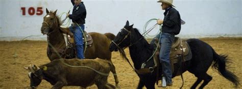 Jun 07, 2021 · ipados 15. Ranch Rodeo, Fort Worth TX - Jan 18, 2020 - 7:30 PM