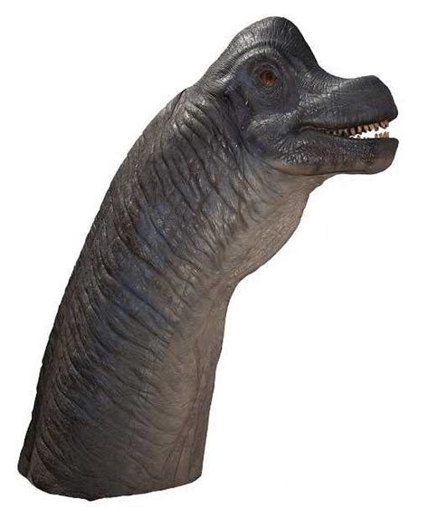 Brachiosaurus Head And Neck From The Jurassic Park