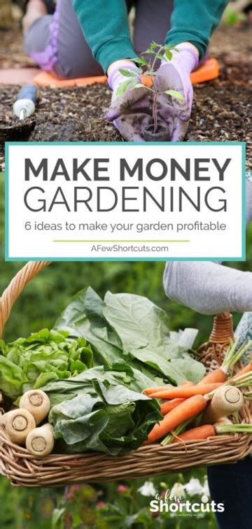 Make Money Gardening 6 Ideas To Make Your Garden Profitable A Few