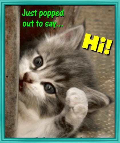 A Cute Kitty Says Hi Free Hi Hello Ecards Greeting Cards 123