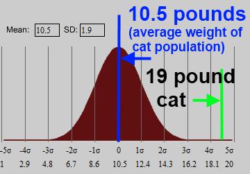 Among the four most common purebreds (siamese, persian, himalayan, and maine coon), the average weight peaks between 6 and 10 years of age. Math - Compare weight to the population average