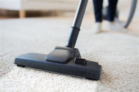 Den teppich reinigen, aber nur mit der richtigen technik. Wer einen Teppich hat, der wird es wissen: im Laufe der ...