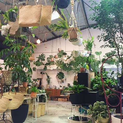A Room Filled With Lots Of Potted Plants And Hanging Planters On The