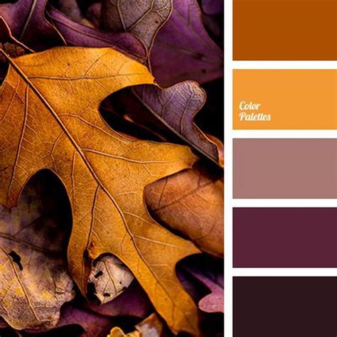 15 Most Popular Fall Color Palette Collection For Amazing Home Interior