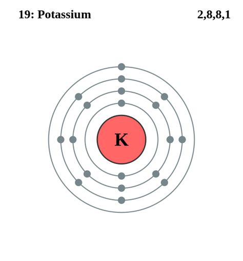 Fileelectron Shell 019 Potassiumsvg Wikimedia Commons