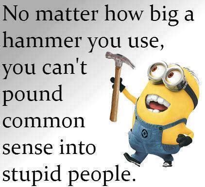 Discover and share you cant fix stupid quotes. You can't fix stupid A little Chandler Real Estate Humor - Your Chandler Realtor