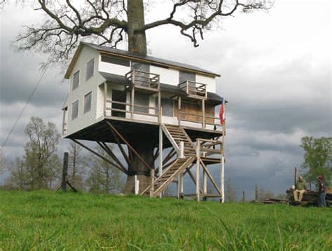 Nombre del premio o reconocimiento. La increíble casa en un árbol que construyó una familia de ...