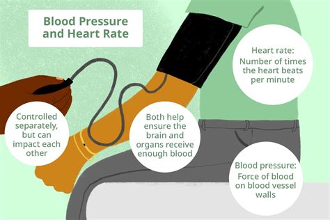 Blood Pressure And Heart Rate Relationship And Differences