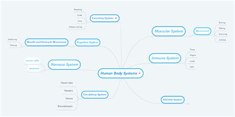 Human Body Systems Mindmeister Mind Map