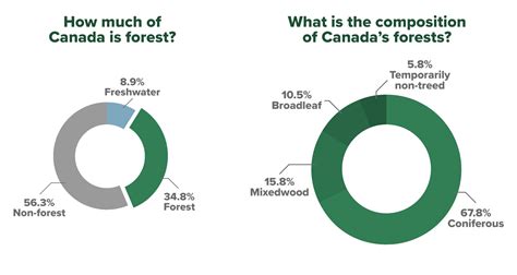 Vast And Abundant Forests Canadian Council Of Forest Ministers Ccfm