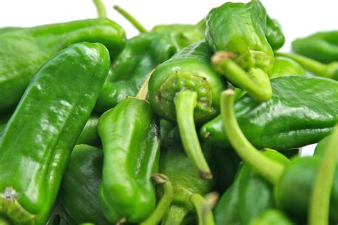 Johnnys Kitchen Pimientos de Padron