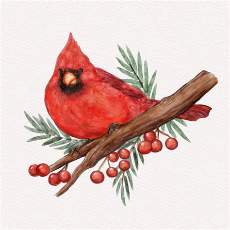 Cardinal Snow Cliparts Winter Bird Graphics Clip Art Library