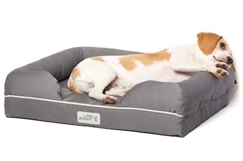 5 Best Indestructible Dog Beds Tough Beds For Problem Chewers