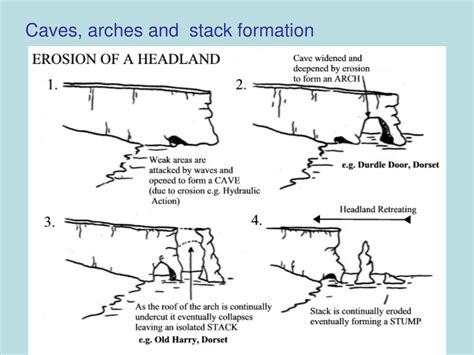 The Formation Of Caves Arches And Stacks Golearngeography