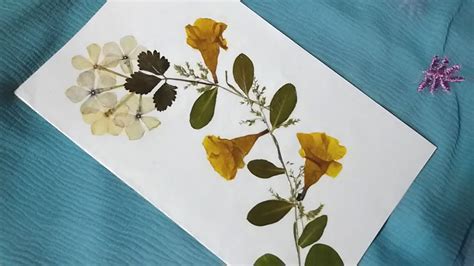 Dry Flower Art Greeting Card Making Tutorial Diy Youtube