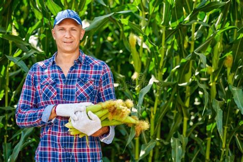 man farmer with a crop of corn stock image image of outdoor adult 194930363
