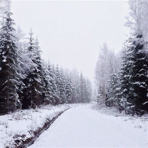 Walking In A Winter Wonderland Winter Photography Simple Pleasures
