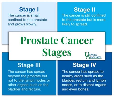 Prostate Cancer Stages Options Urology Associates Co