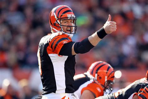 Bengals Carson Palmer Wants Out Threatens Retirement Big Cat Country