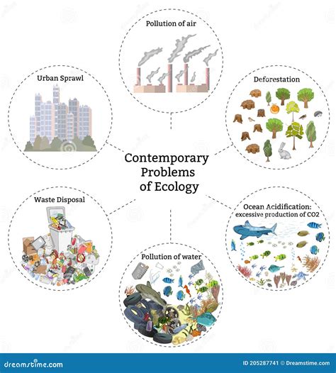 Contemporary Problems Of Ecology Pollution Of Air Water And Soil