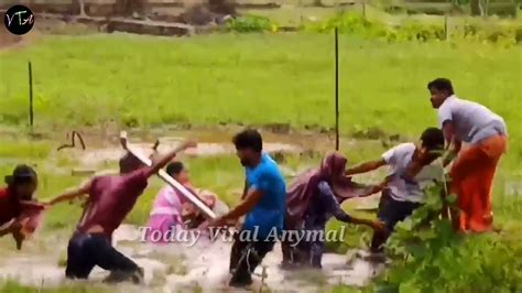 Village Womens Fighting Today Viral Anymal Youtube