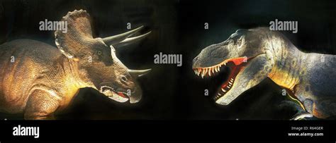 Dinosaurios Herbivoros Comiendo Fotografías E Imágenes De Alta