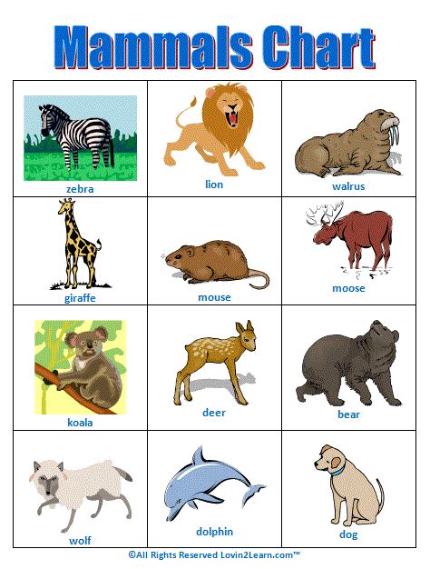 Super Subjects Super Science Life Science Animal Groups Mammals