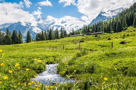 Mountain Pasture In The Alps Nationalpark Hohe Tauern Austria Stock