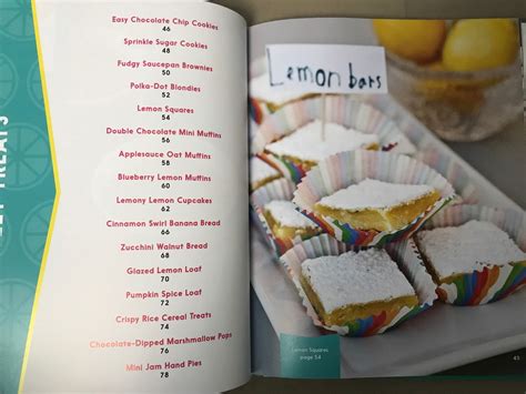 ~clicking her heels~ the lemonade stand cookbook by kathy strahs