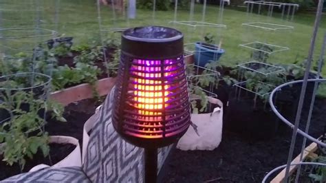 Solar Powered Insect Killer Torch With Led Flame Youtube