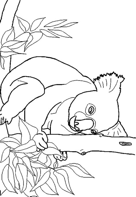 Print free koala coloring pages to get close and personal with these cuddly marsupials. Koala coloring pages to download and print for free