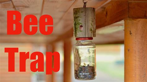 How To Make A Carpenter Bee Trap 30 Minute Diy Project Youtube