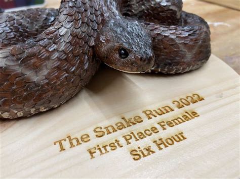 The Snake Run