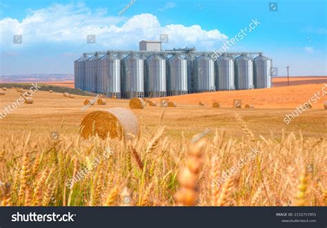 Agricultural Silos Storage Drying Grains Wheat Stock Photo 2152757855