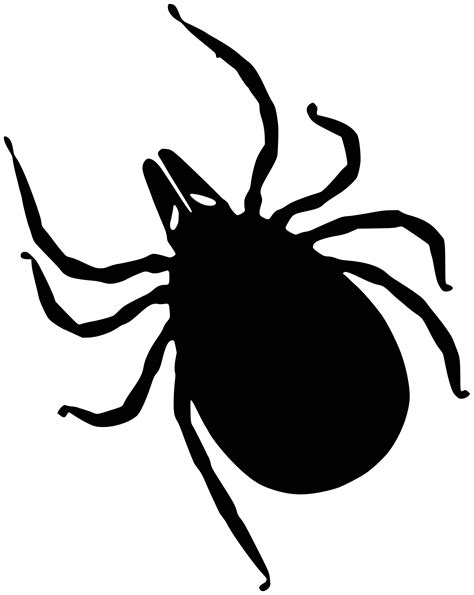 Tick Crawling Drawing Vector Clipart Image Free Stock Photo Public