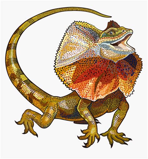 Lizard Vector Free Download Image Clipart Frill Neck Lizard Drawing