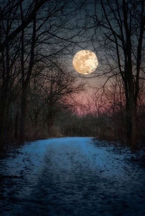 Pin By Kathleen Burke On Moon Beautiful Moon Moon Pictures Moonlight