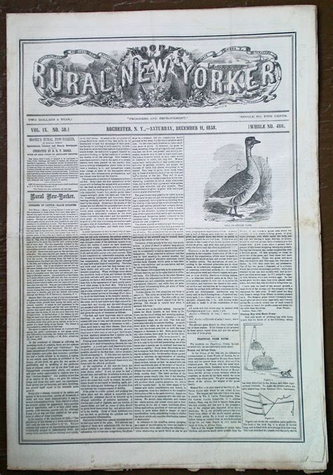 Want to Buy Some Newspapers? – Dick's Genealogy & History Corner
