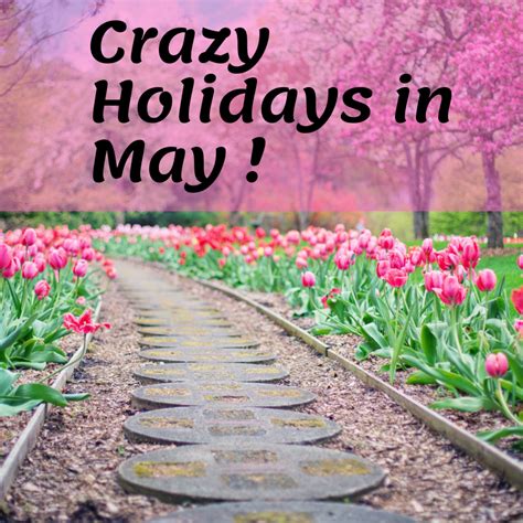 Fun And Crazy Holidays In May Youll Want To Celebrate Holidappy